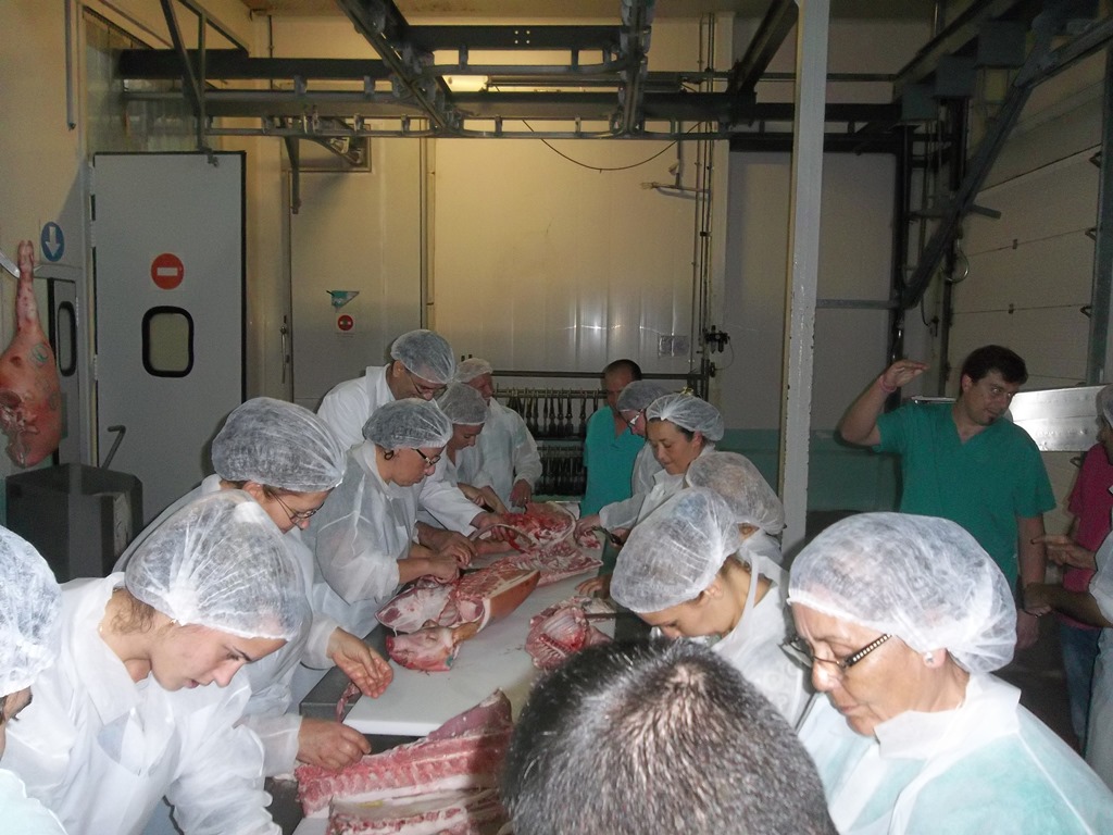 Jornadas del 20 al 22 de Mayo