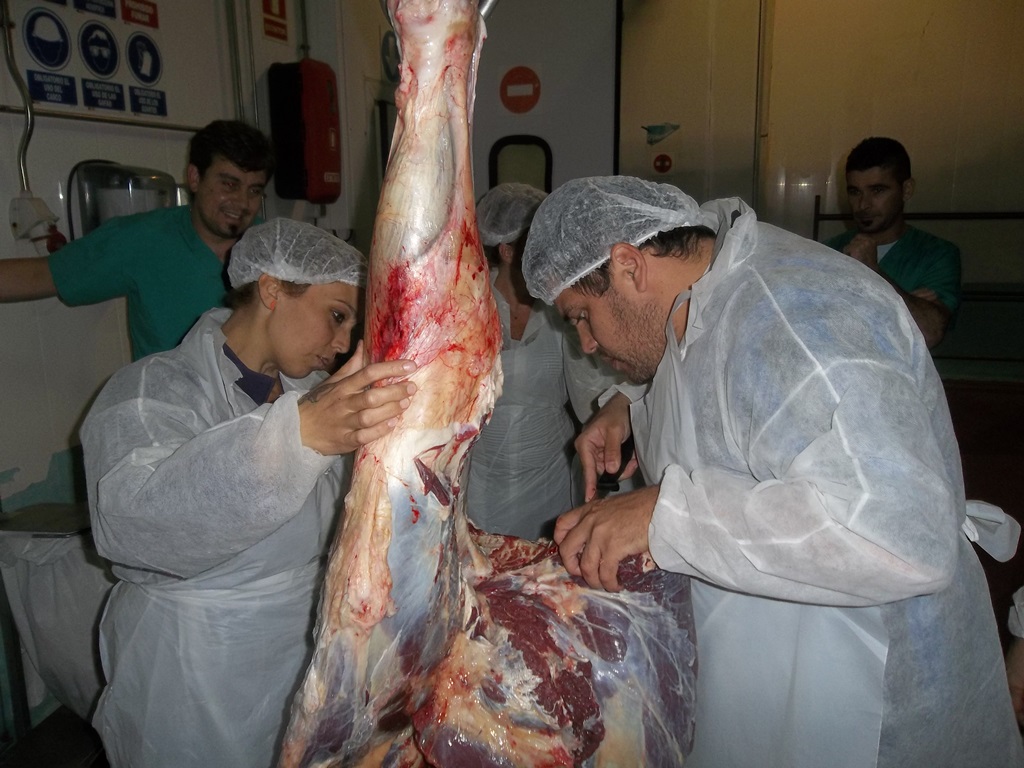 Jornadas del 20 al 22 de Mayo