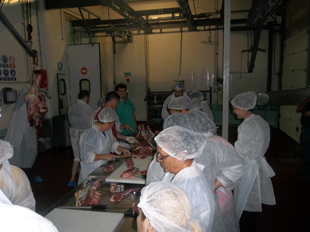 Última Jornada de Formación