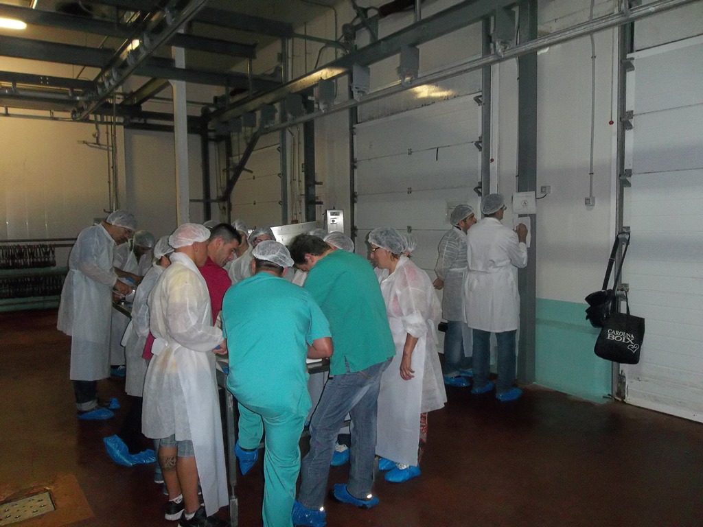Trabajo Fina
